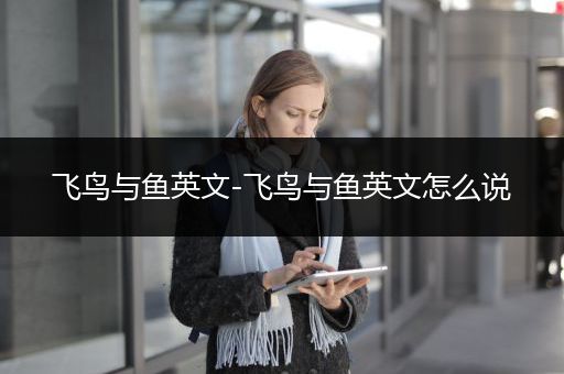 飞鸟与鱼英文-飞鸟与鱼英文怎么说